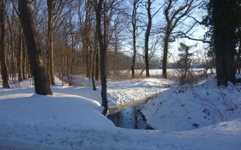 0346d1238fc0e19bdfb309d927d65db0