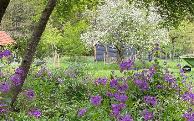 1022251c-77f0-413c-b751-9316875d73b4