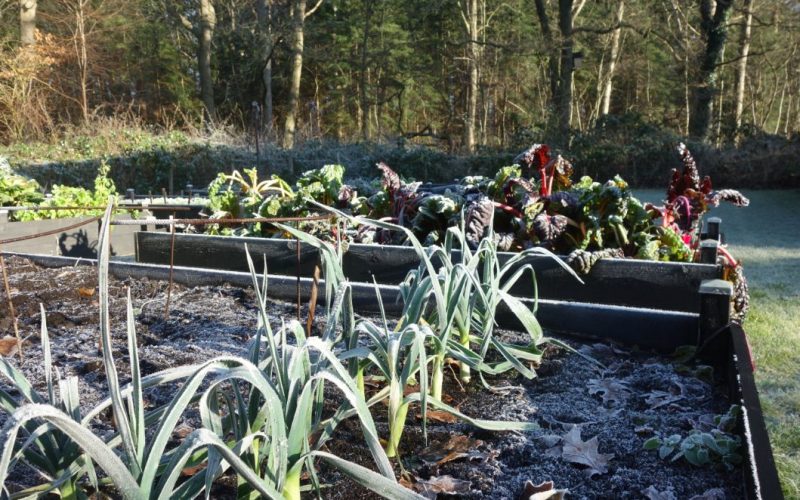 27a4f976ce437133cb1c192b0b48b358