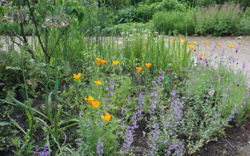 42f689b151a3cd6c86d8b75b7ba495c3