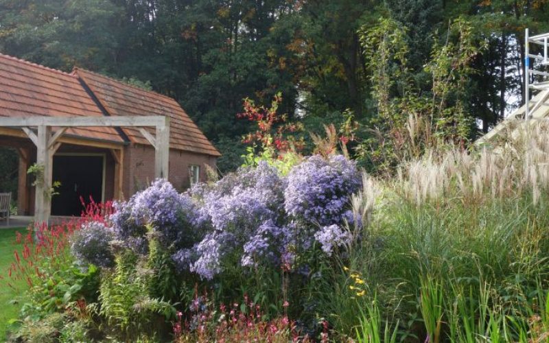 4515d64800418c11f756e9205e4e80df