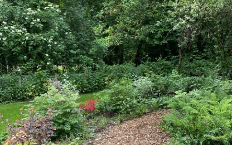 4da699f6-0d16-43fa-9f9e-eb0fc146eb75