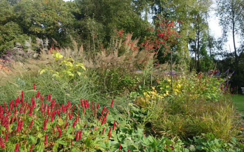 50e79ab2503108550d7cd410c7a230b6