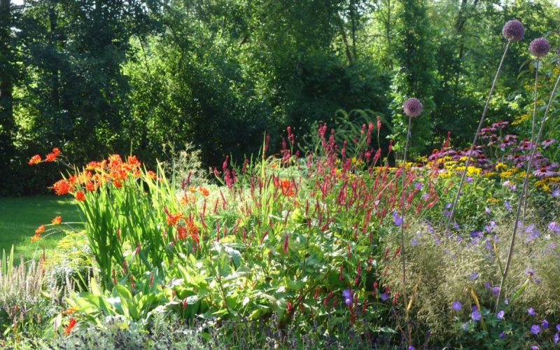 79fac50e8d890faace67ce4d246012f3