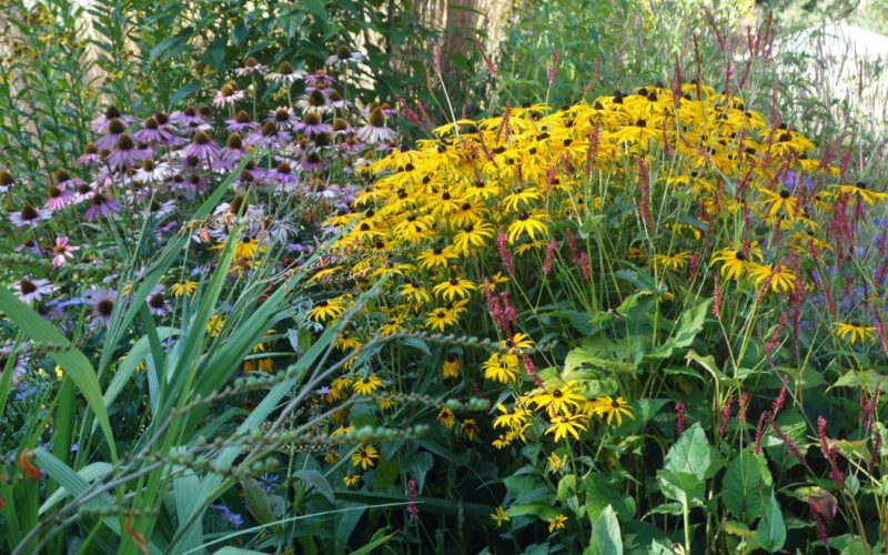 8f2a2dfb3aa6b681651f6a50e0a5f253