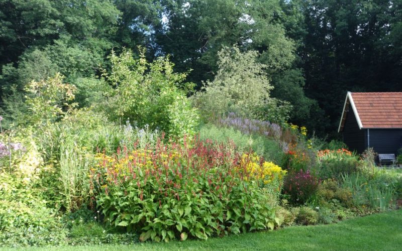 962b630475bcaeeb98a5e54bfdf789cf