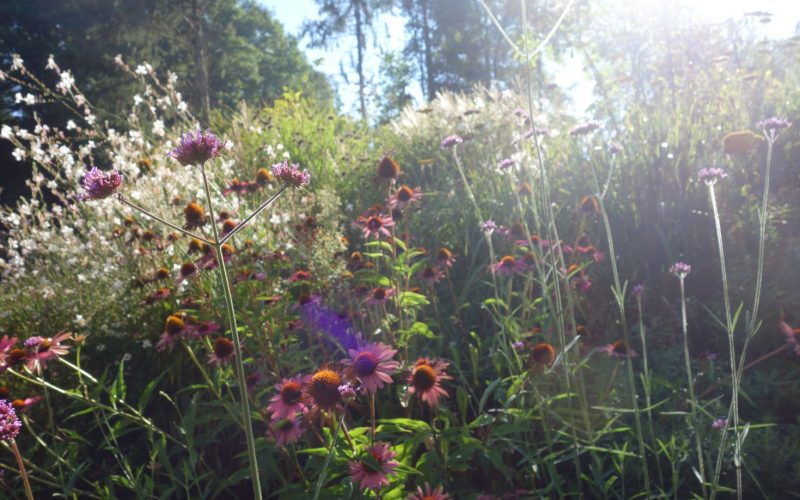 b1a4b8c19e930bc1f0c5c452b8640ed3