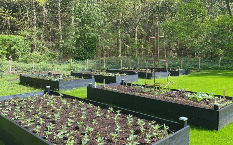 bd6591a8-3abf-40d3-8631-a9ce3664e132