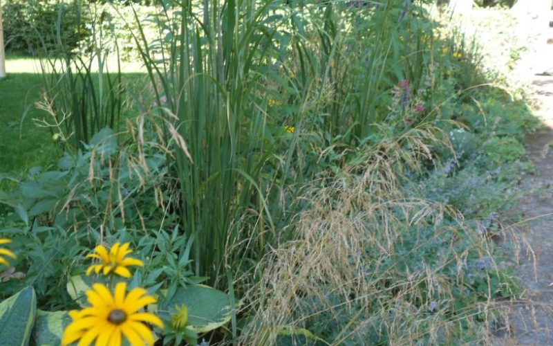 c142d8aebc9704231424cb5922855432