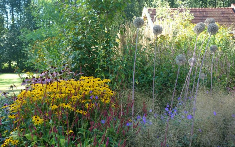 c51fdfb5500189f2a8b267ae6e2ec143