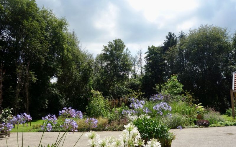 cc365c3646643e64d368192cfd23e11b