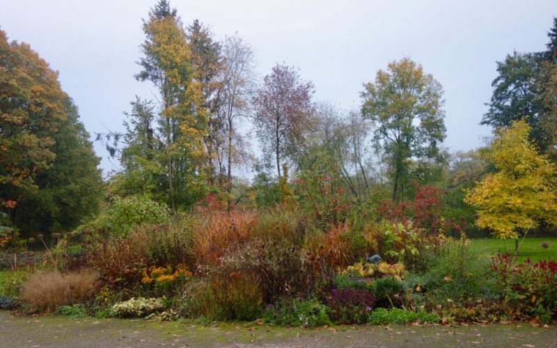 da24fa02a1a5308f8208e3a41ea8ed3e