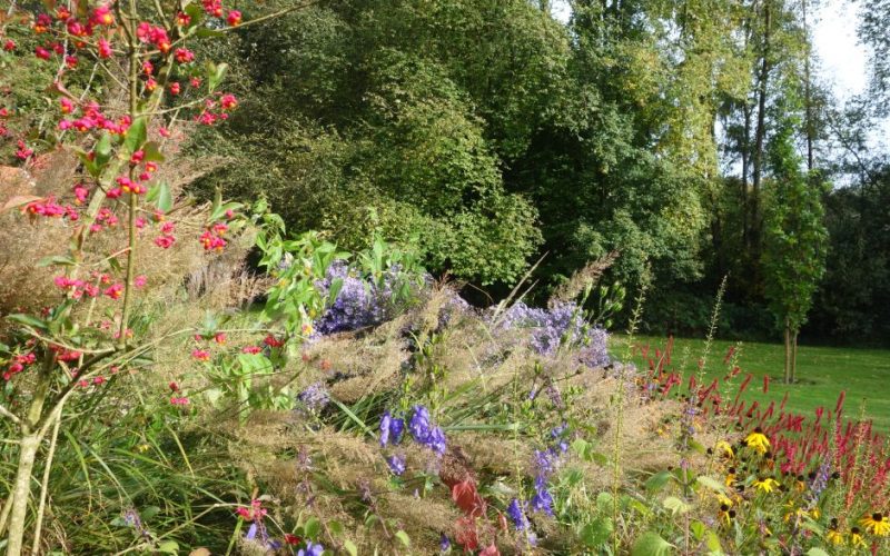 f7d968baed925eab5c8b5386b72b2f5d